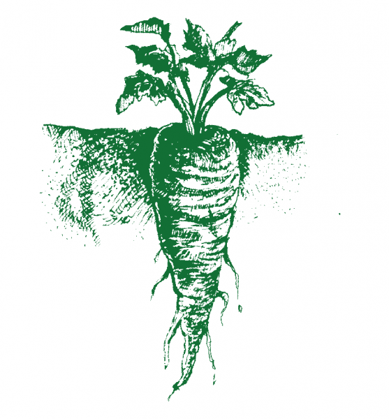 VEN Logo